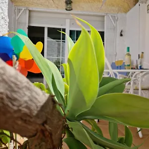 Apartment San Antonio - Beach, Pool And Terrace, Torremolinos